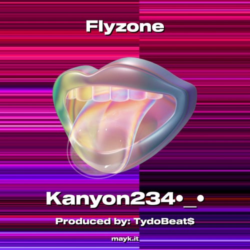 Flyzone