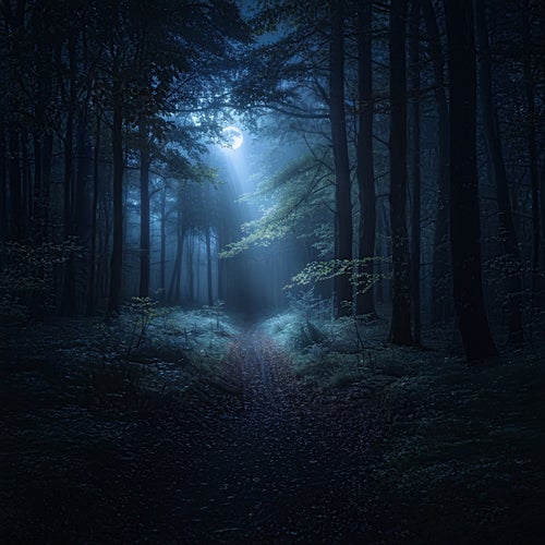 Shadows in the Night Obsidian Echoes