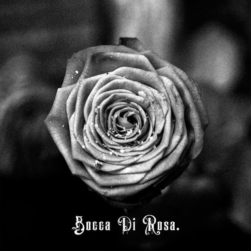 BOCCA DI ROSA.