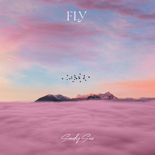 Fly