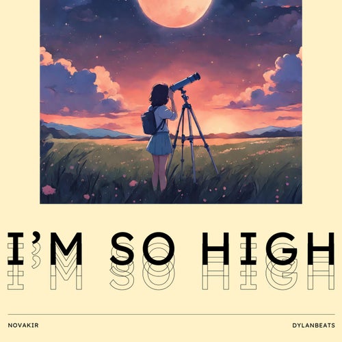 I'm So High (feat. Dylanbeats)