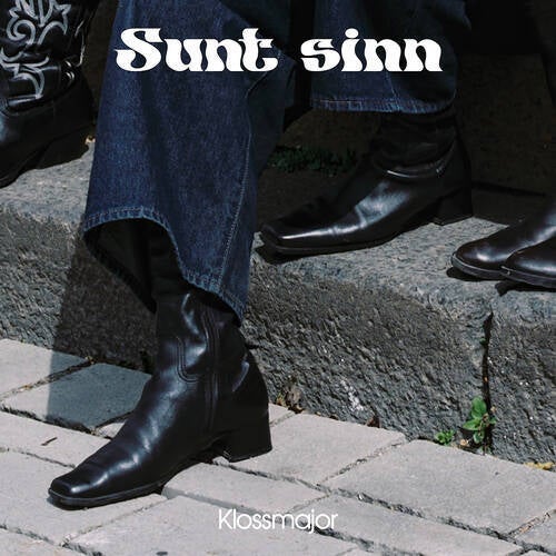 Sunt sinn