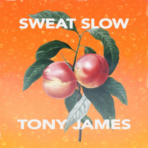 Sweat Slow