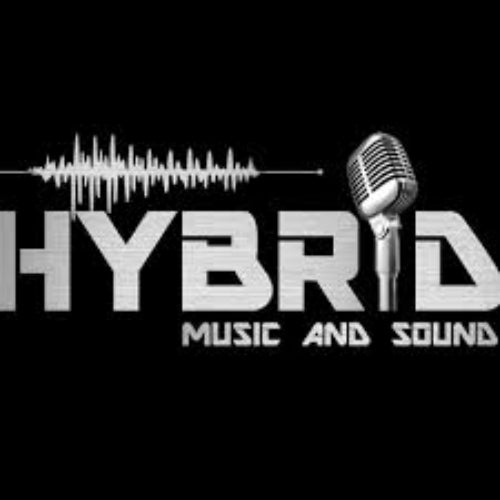 Hybrid Music Profile