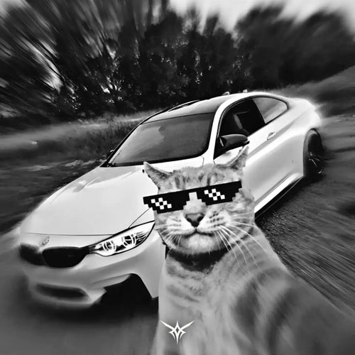 DERIVA DO GATO