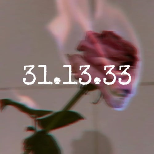 31.13.33