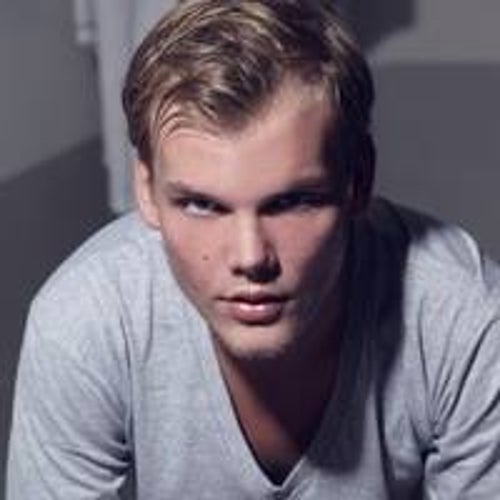 Tim Bergling Profile