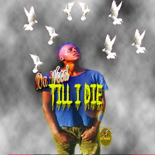 Till I Die