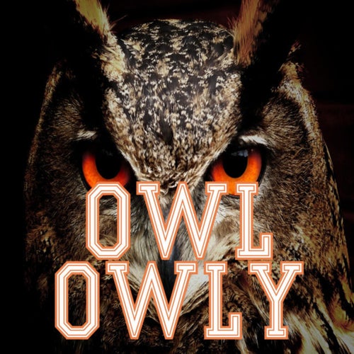 OWL OWLY