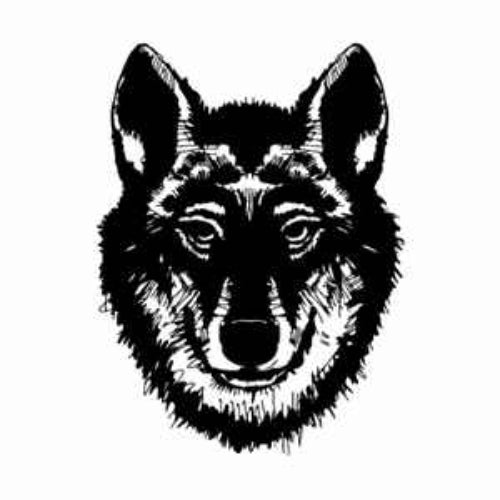 Wolf+Rothstein/RCA Records Profile