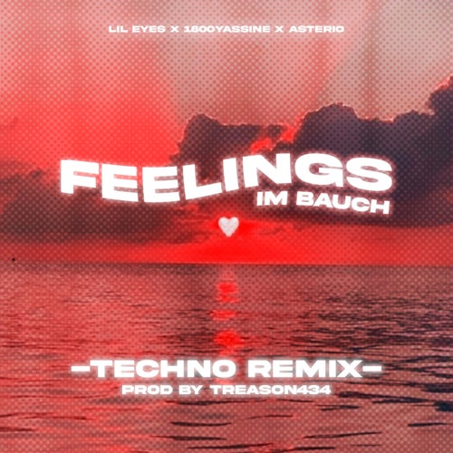 feelings im bauch (feat. treason434) (extended techno remix)
