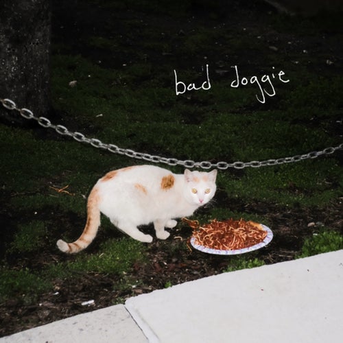 Bad Doggie