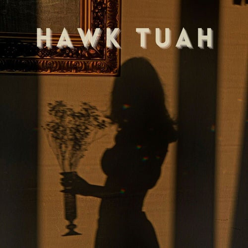 Hawk Tuah