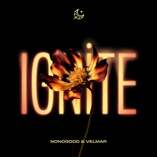 Ignite