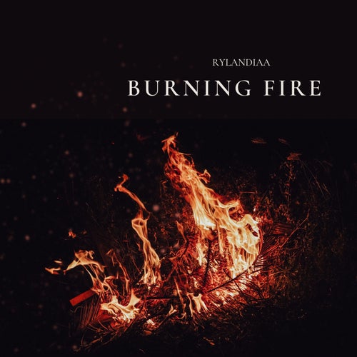 Burning fire