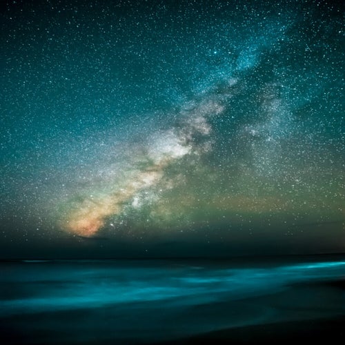 Star In The Sky