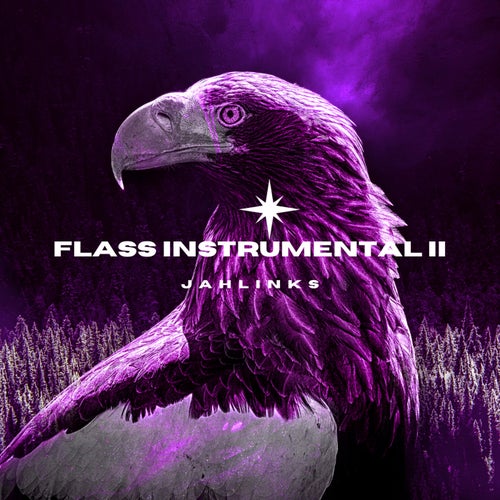 Flass Instrumental II