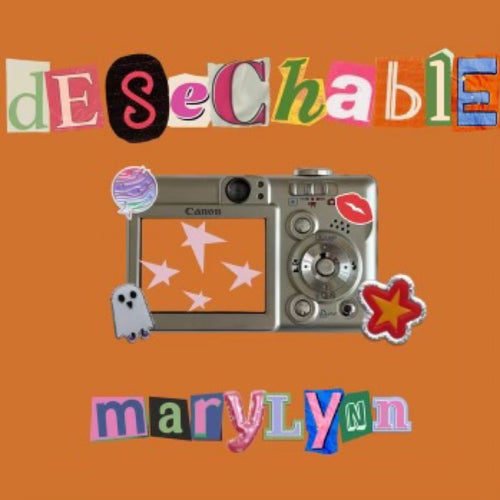 Desechable