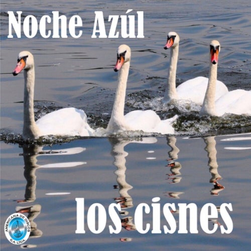 Noche Azúl