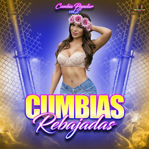 Cumbia Popular Vol. 2