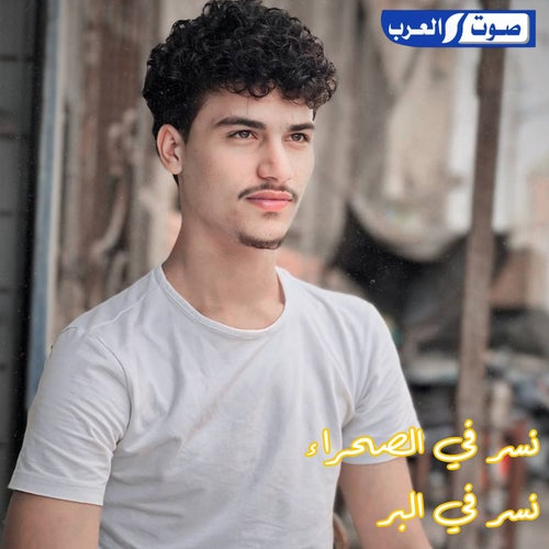 نسر في الصحراء نسر في البر