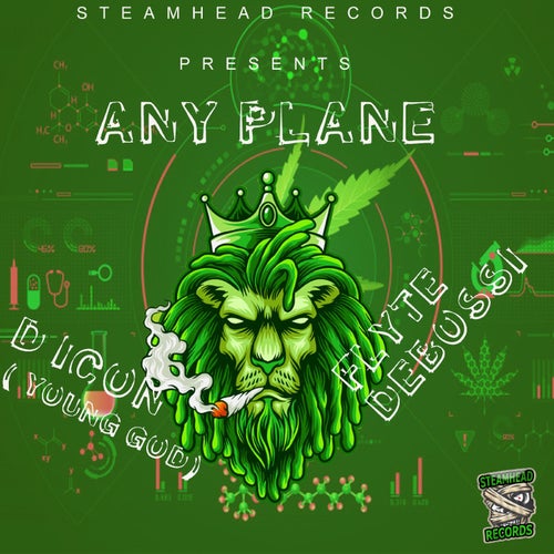 Any Plane (feat. Flyte Debossi)