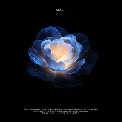 Vision (Extended)