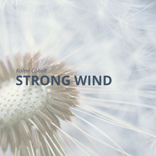 Strong wind