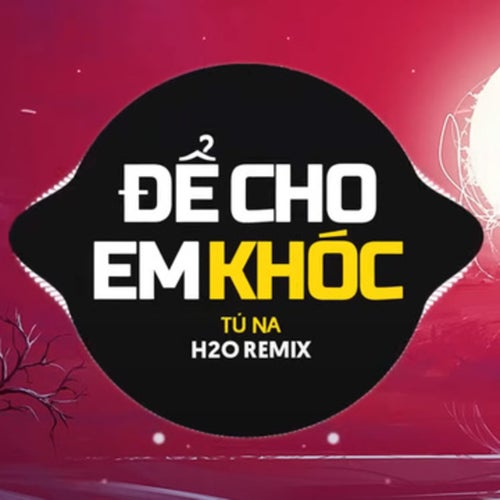 Để Cho Em Khóc (Remix Vinahouse)