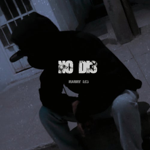 No Di3