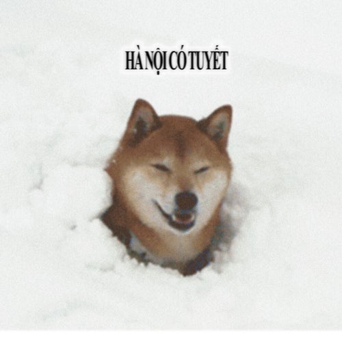 hà nội có tuyết