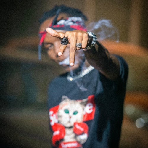Gucci Bills