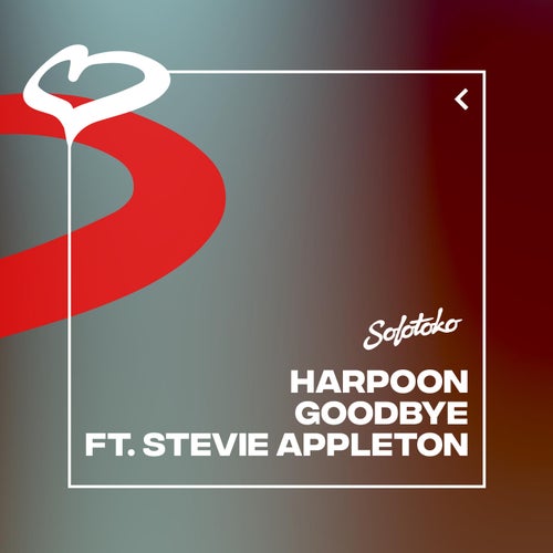 Goodbye (feat. Stevie Appleton) (Extended Mix)