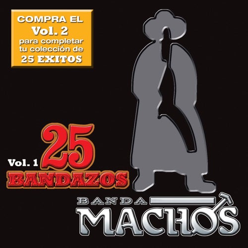 25 Bandazos de Machos (Vol. 1) (USA)