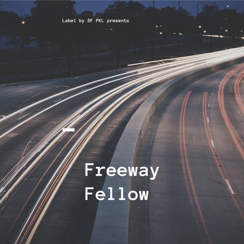 Freeway Fellow