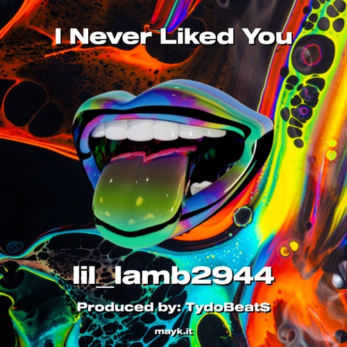 I Never Liked You