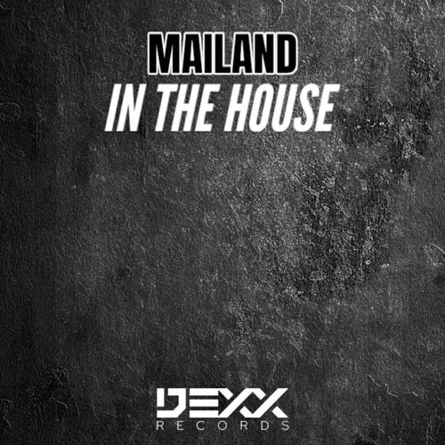 In The House (Original Mix)