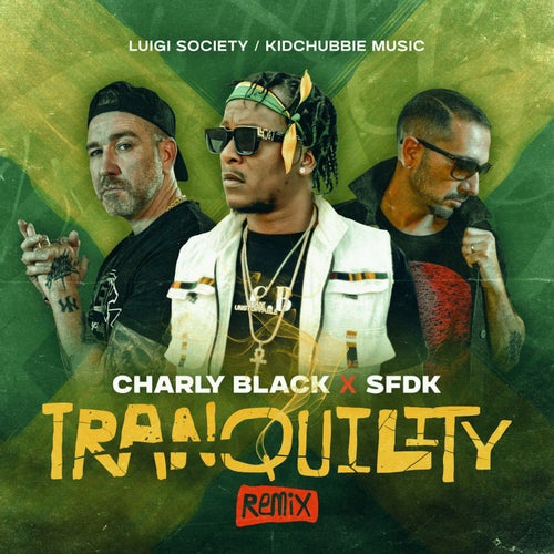 Tranquility (Remix)