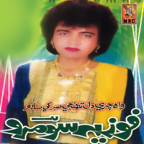 Wah Chari Dil Tuhnjay Sabar Khe Salam