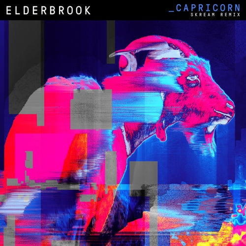 Capricorn