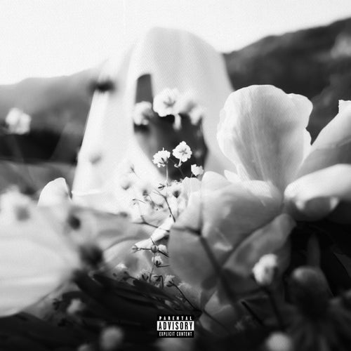 Release of the week