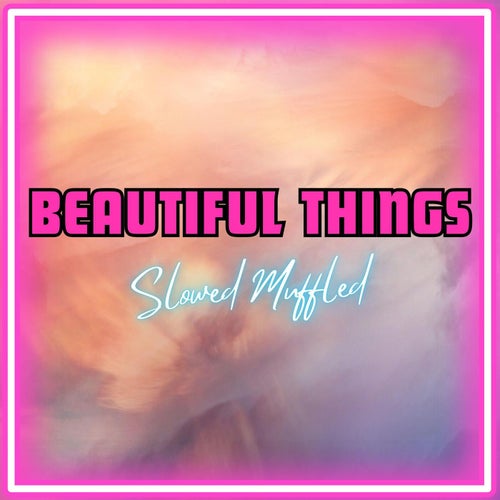 These Beautiful Things That I've Got (Beautiful Things) [Slowed Muffled]
