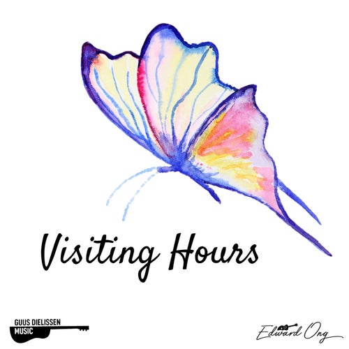 Visiting Hours (Acoustic Instrumental)