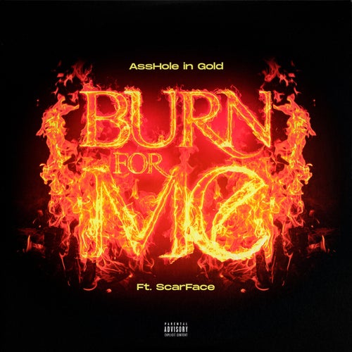 Burn For Me (feat. Scarface)