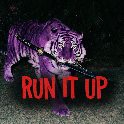 RUN IT UP