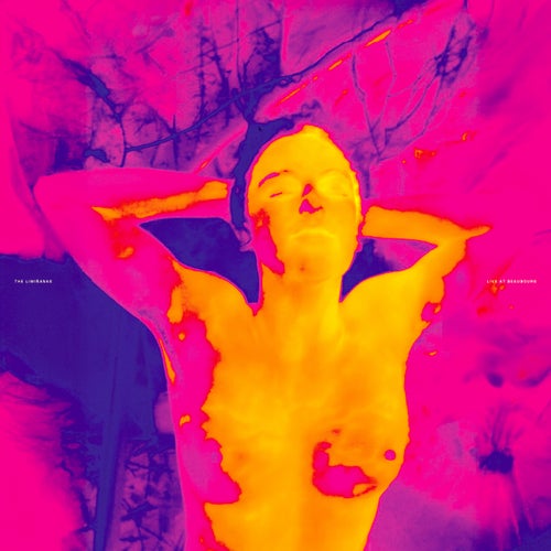 One Blood Circle (Live at Beaubourg)