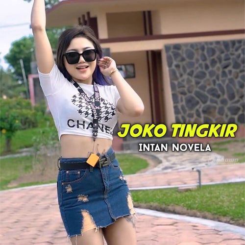 Joko Tingkir