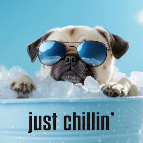 just chillin'