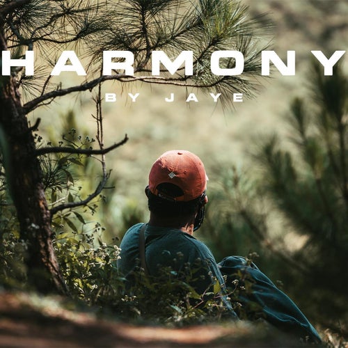 Harmony