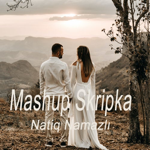 Mashup Skripka